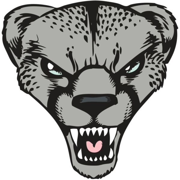 BAW CHEETAH 15 RC Thumbnail