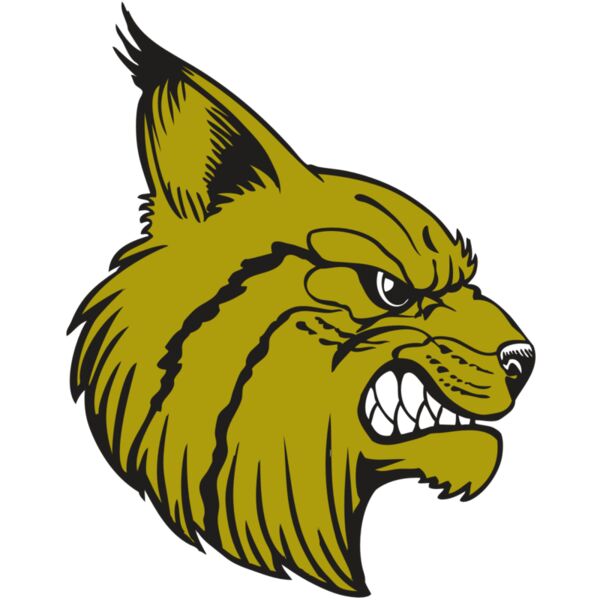 BAW BOBCAT 16 RC Thumbnail